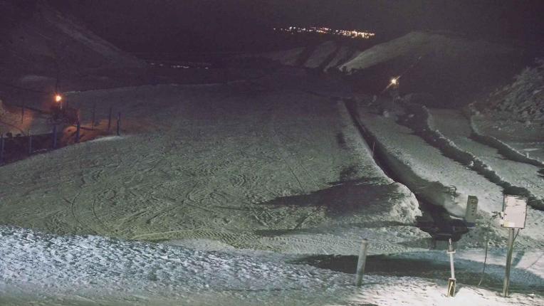 Webcam Turoa: Alpine meadown