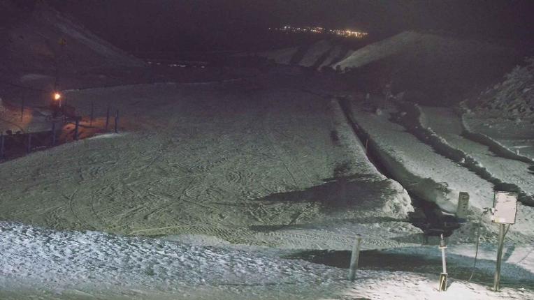 Webcam Turoa: Alpine meadown
