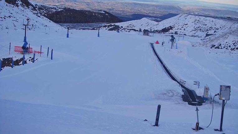 Webcam Turoa: Alpine meadown
