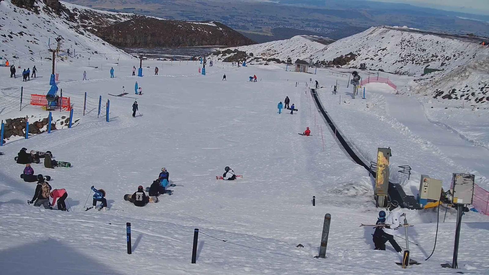 Webcam Turoa: Alpine meadown