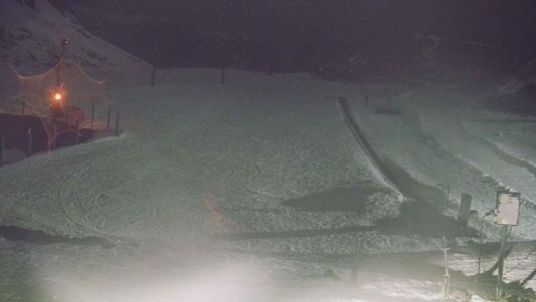 Webcam Turoa: Alpine meadown