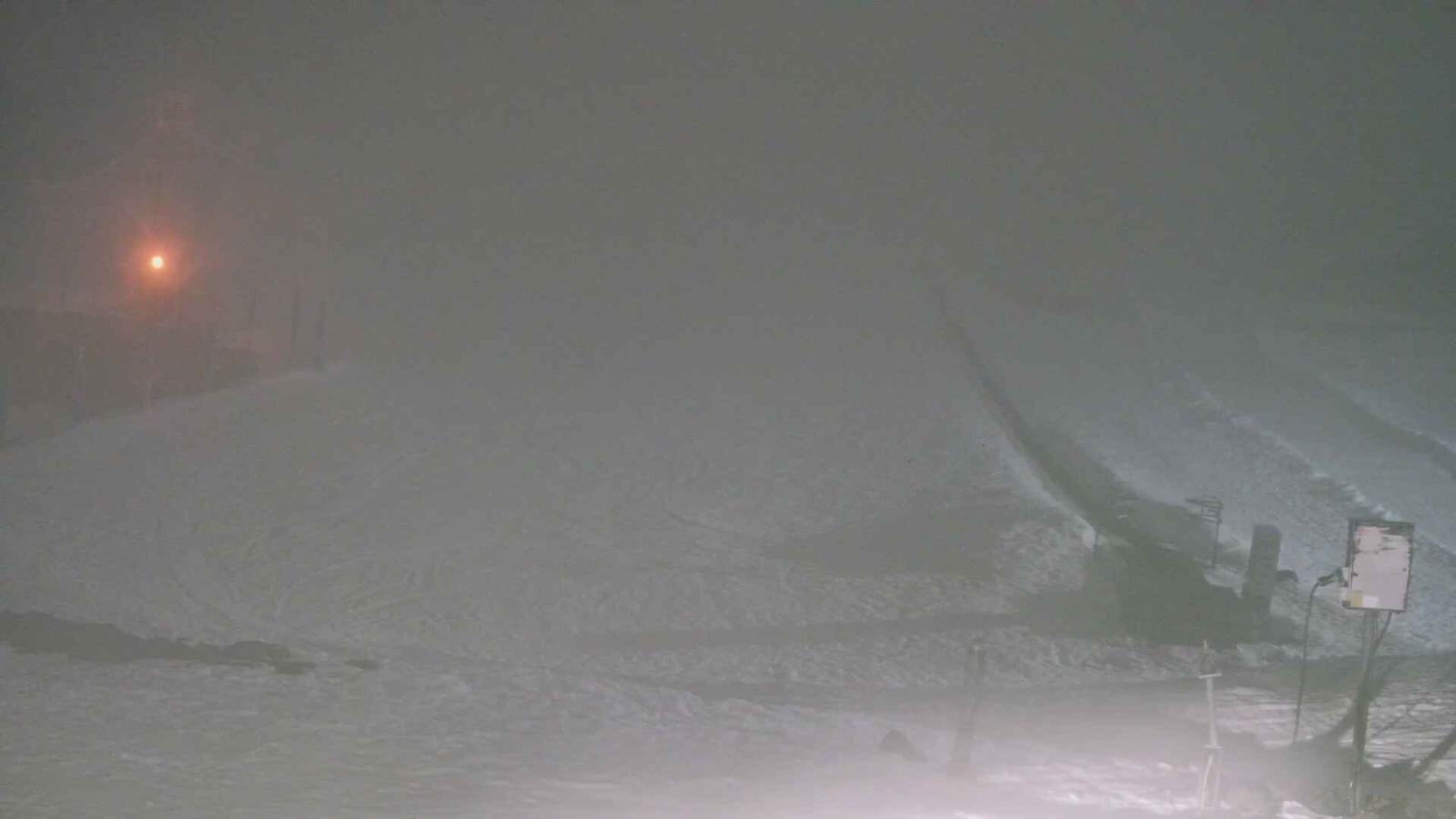 Webcam Turoa: Alpine meadown