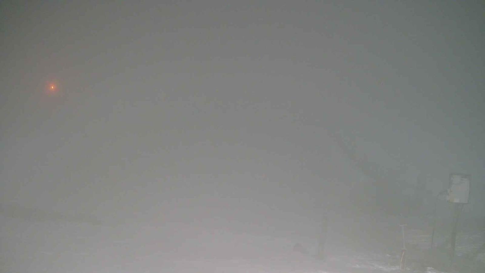 Webcam Turoa: Alpine meadown