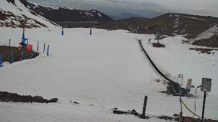 Turoa: Alpine meadown (pureturoa.nz)