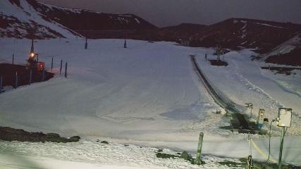 Turoa: Alpine meadown (pureturoa.nz)