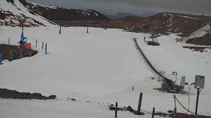 Turoa: Alpine meadown (pureturoa.nz)