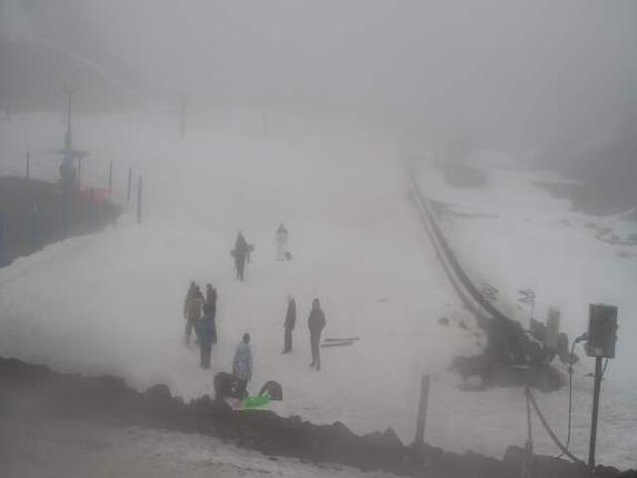 Webcam Turoa: Alpine meadown