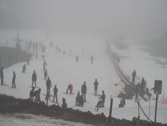 Webcam Turoa: Alpine meadown