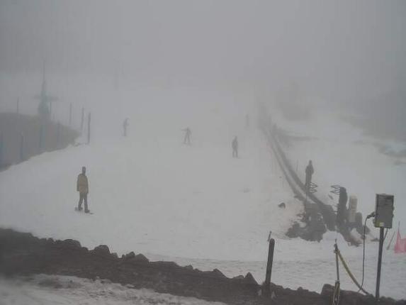 Webcam Turoa: Alpine meadown