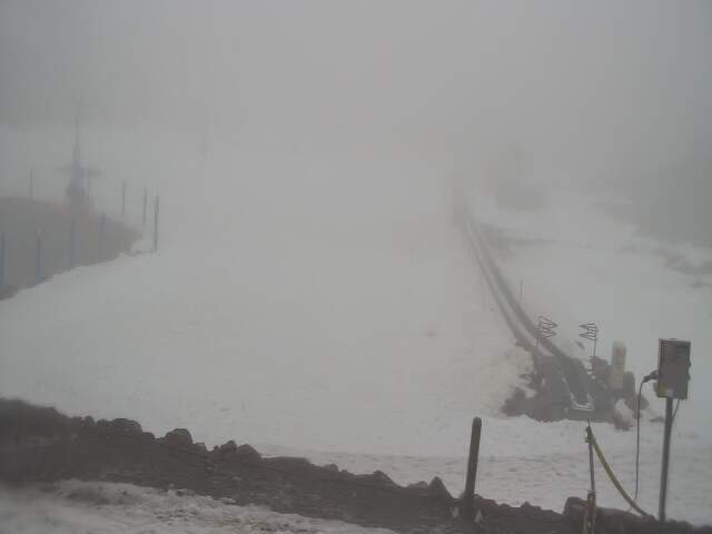 Webcam Turoa: Alpine meadown