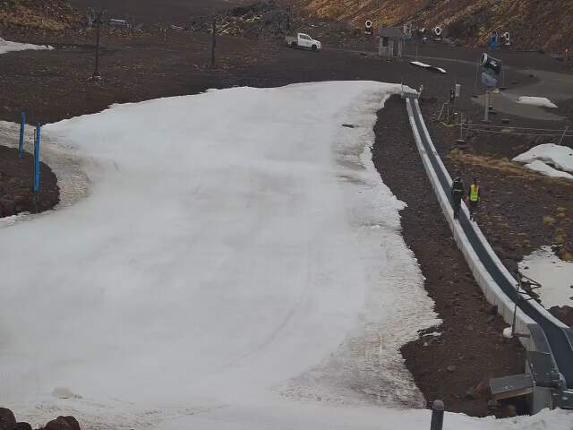 Webcam Turoa: Alpine meadown