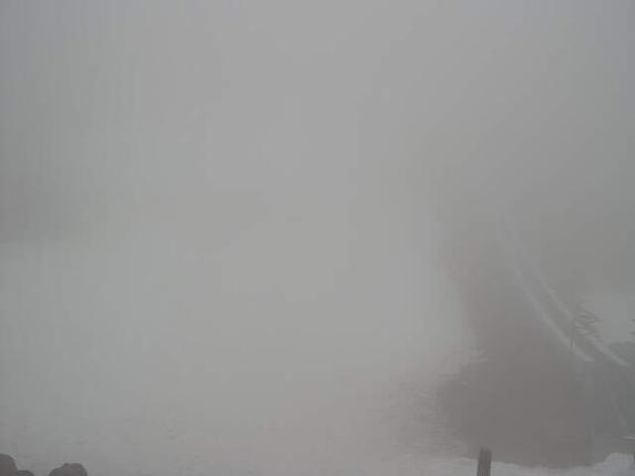 Webcam Turoa: Alpine meadown