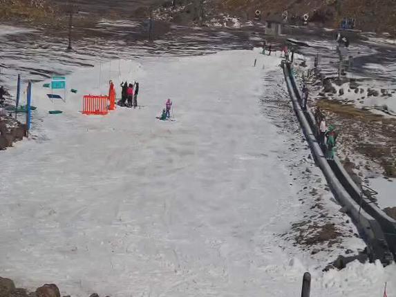 Webcam Turoa: Alpine meadown