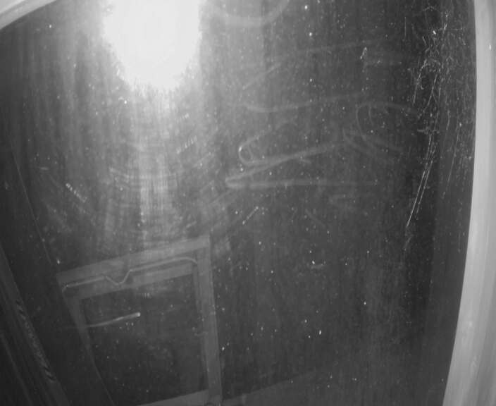 Webcam Turoa: Alpine meadown