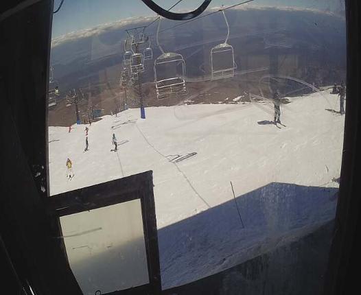 Webcam Turoa: Alpine meadown