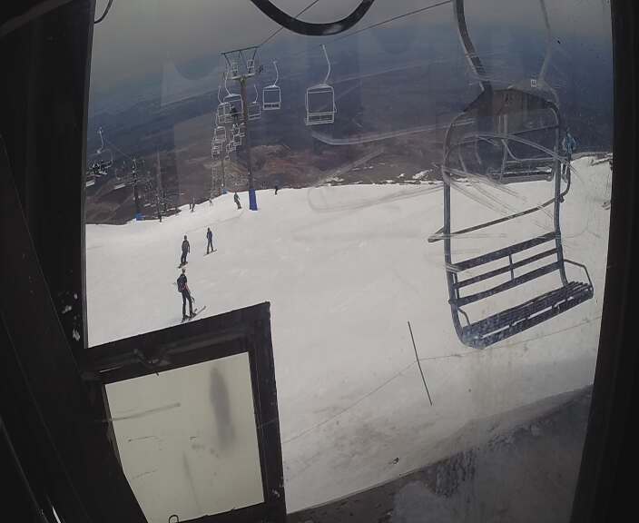 Webcam Turoa: Alpine meadown