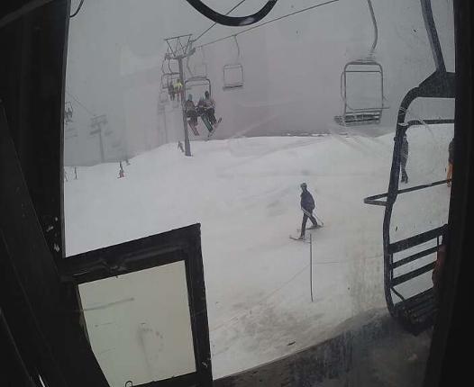 Webcam Turoa: Alpine meadown