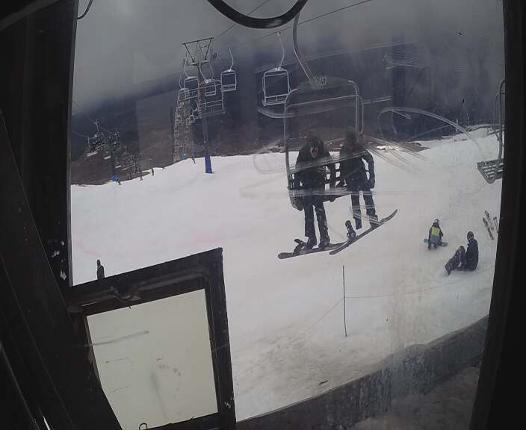 Webcam Turoa: Alpine meadown