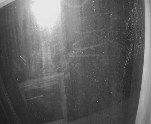 Webcam Turoa: Alpine meadown