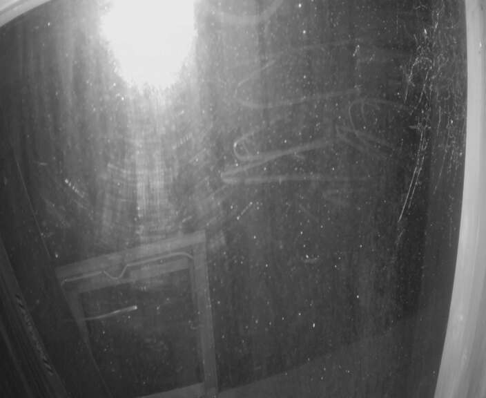 Webcam Turoa: Alpine meadown