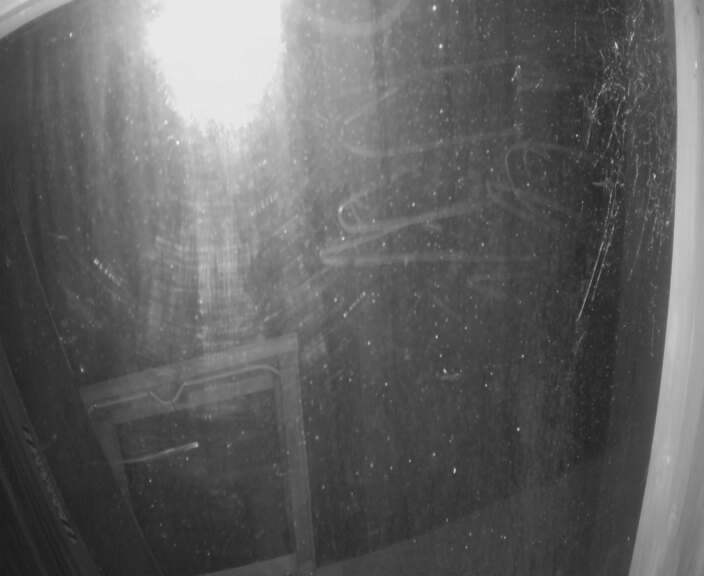 Webcam Turoa: Alpine meadown