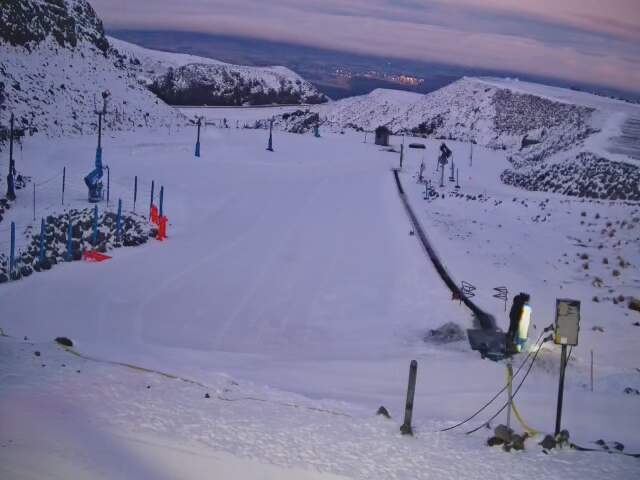 Webcam Turoa: Alpine meadown