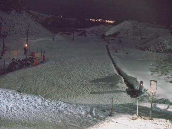 Webcam Turoa: Alpine meadown