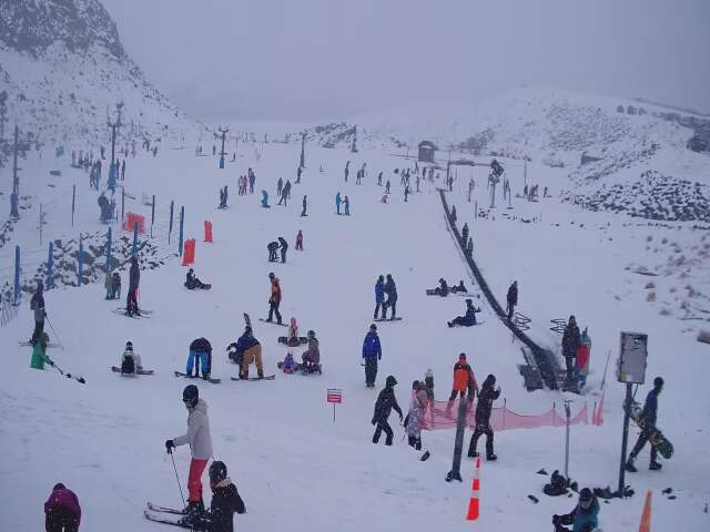 Webcam Turoa: Alpine meadown