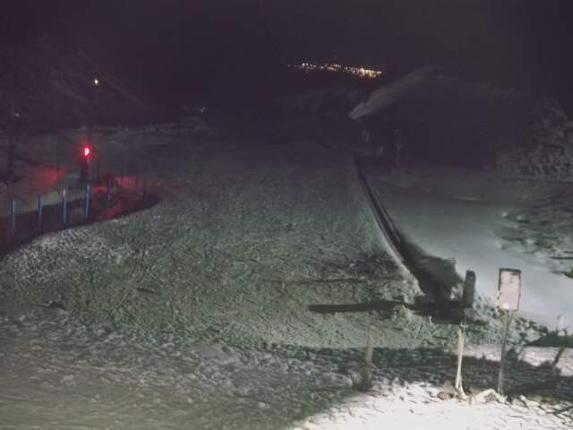 Webcam Turoa: Alpine meadown