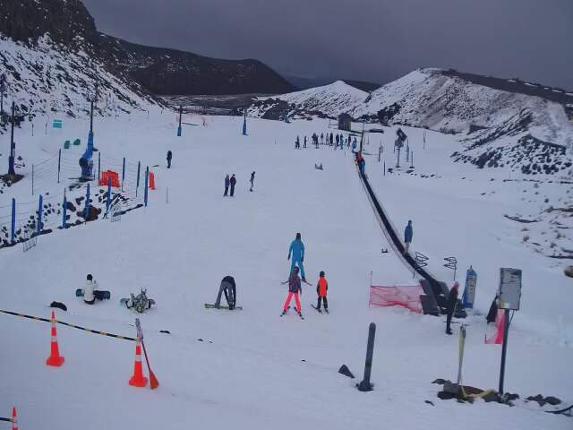 Webcam Turoa: Alpine meadown