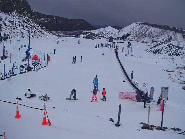 Webcam Turoa: Alpine meadown