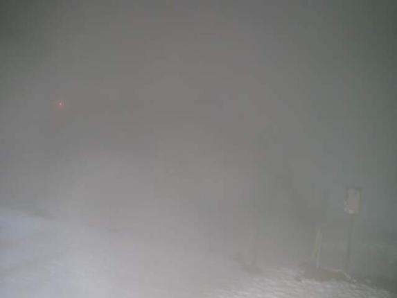 Webcam Turoa: Alpine meadown