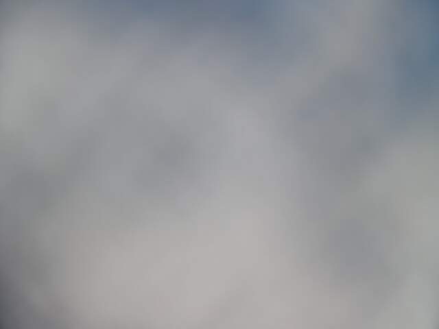Webcam Turoa: Alpine meadown