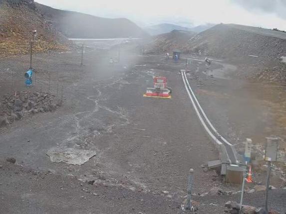 Webcam Turoa: Alpine meadown