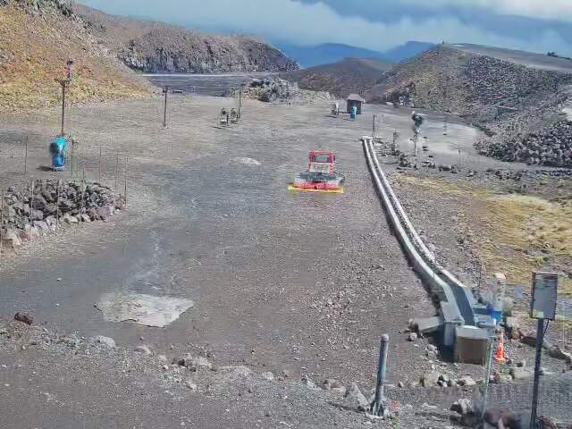 Webcam Turoa: Alpine meadown
