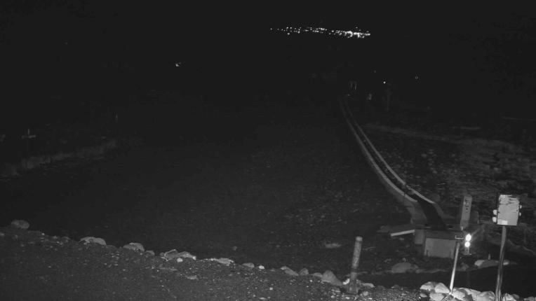 Webcam Turoa: Alpine meadown