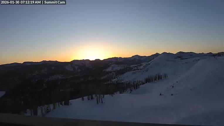 Webcam Turoa: Alpine meadown