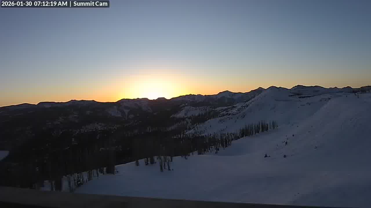 Webcam Turoa: Alpine meadown