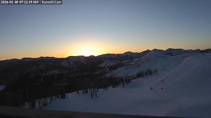 Turoa: Alpine meadown (pureturoa.nz)