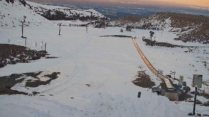 Turoa: Alpine meadown (pureturoa.nz)