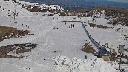 Turoa: Alpine meadown (pureturoa.nz)