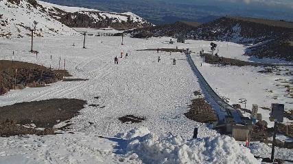 Turoa: Alpine meadown (pureturoa.nz)