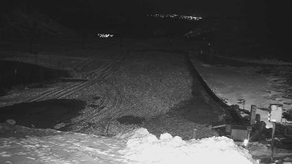 Turoa: Alpine meadown (pureturoa.nz)