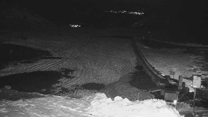 Turoa: Alpine meadown (pureturoa.nz)