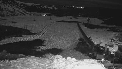 Turoa: Alpine meadown (pureturoa.nz)