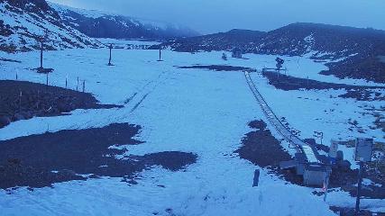 Turoa: Alpine meadown (pureturoa.nz)