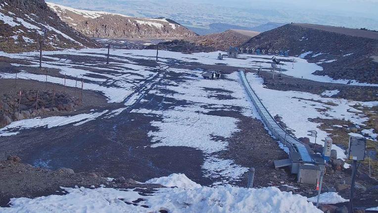Webcam Turoa: Alpine meadown