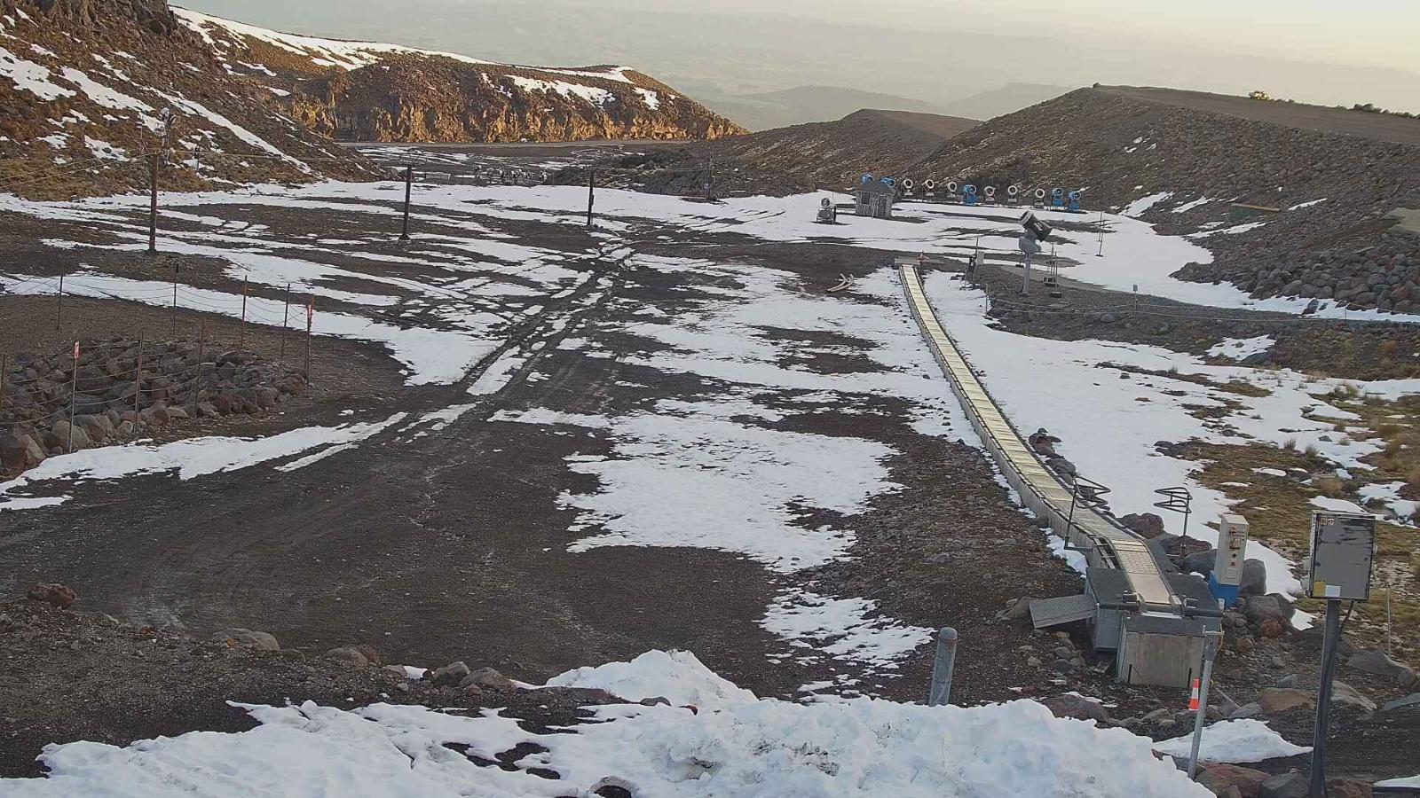 Webcam Turoa: Alpine meadown