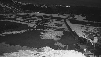 Turoa: Alpine meadown (pureturoa.nz)