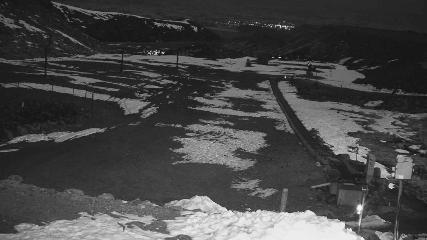 Turoa: Alpine meadown (pureturoa.nz)